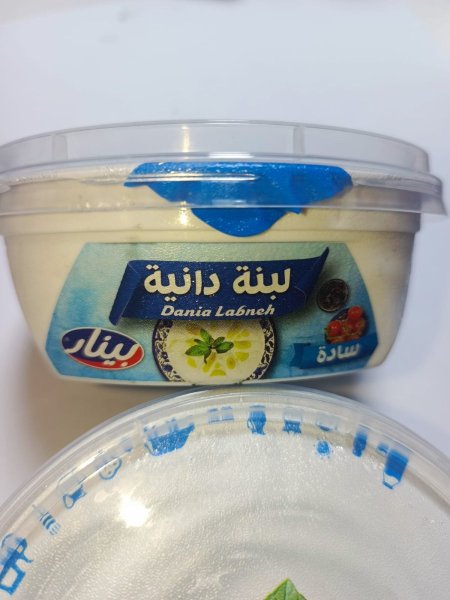 لبنة دانيه علب 200 غم ساده